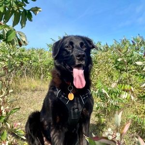 Meet your Posher, Serena